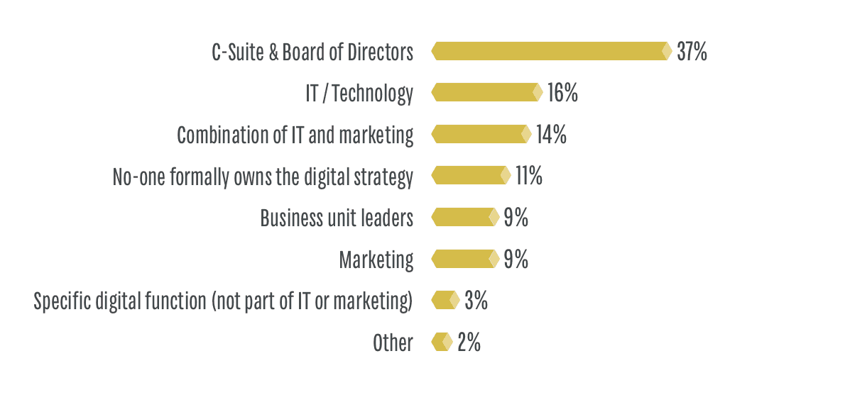 Digital Marketing Strategy C-Suite