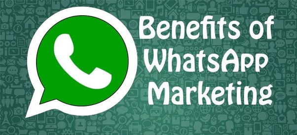 Whatsapp Marketing, Whatsapp, Marketing, Whatsapp Marketing Benefit Your Business, Whatsapp Marketing Benefit, WhatsApp Marketing Strategies, WhatsApp groups, #indidigital, Marketing tools, digital marketing, Marketing Strategies